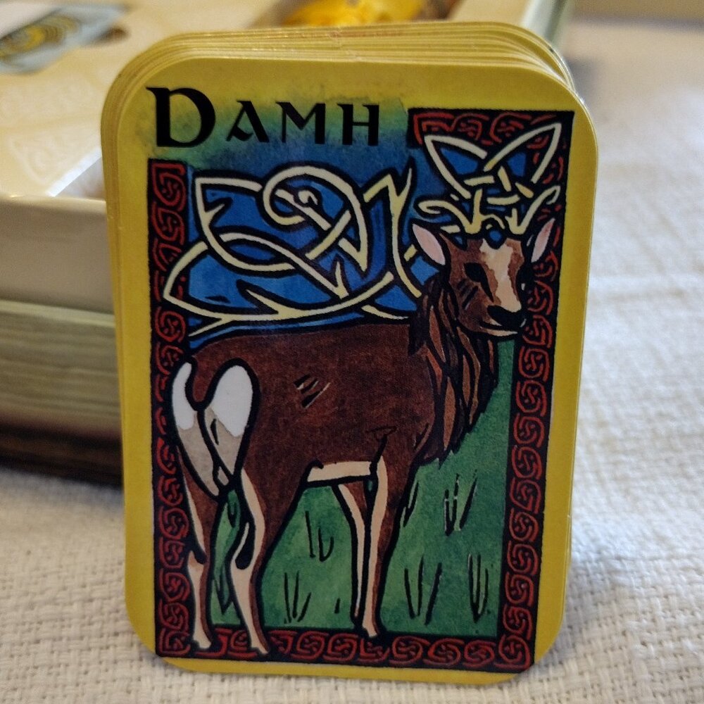 Celtic Oracle Boxed Set - Picture 10 of 14
